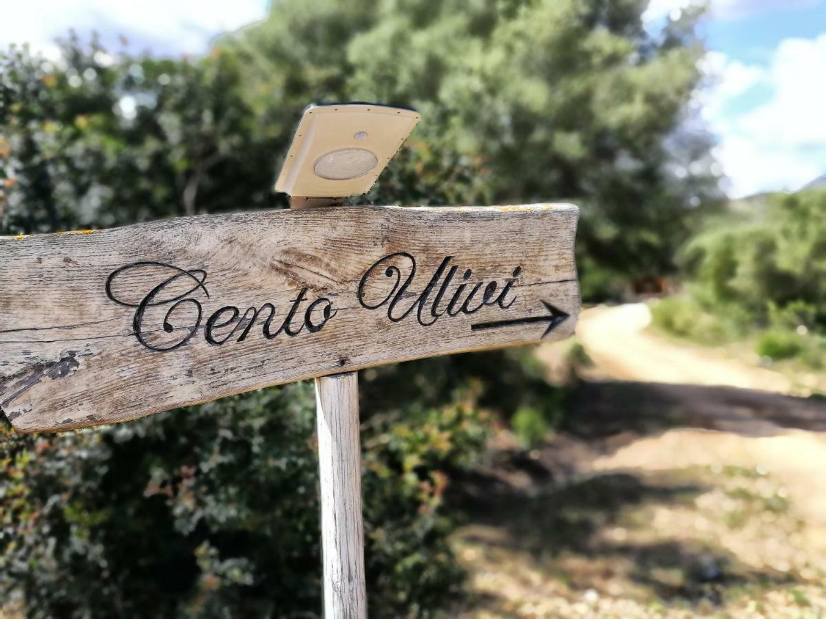 Cento Ulivi B&B 阿兰奇湾城 外观 照片